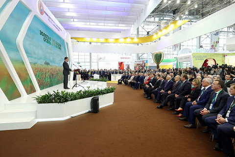 Russian agricultural exhibition "Golden Autumn" 9-12 October