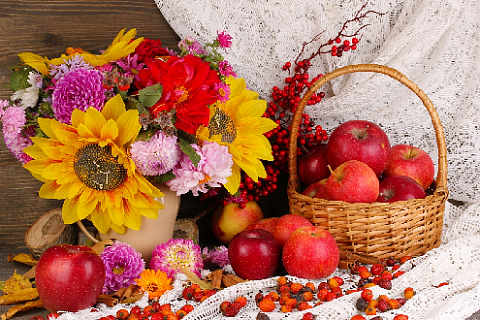 August 19 - Apple Feast Day